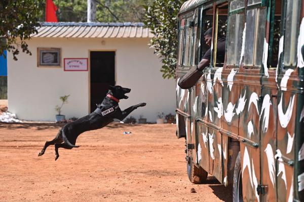   महानिदेशक का डीबीटीएस तरालु का दौरा